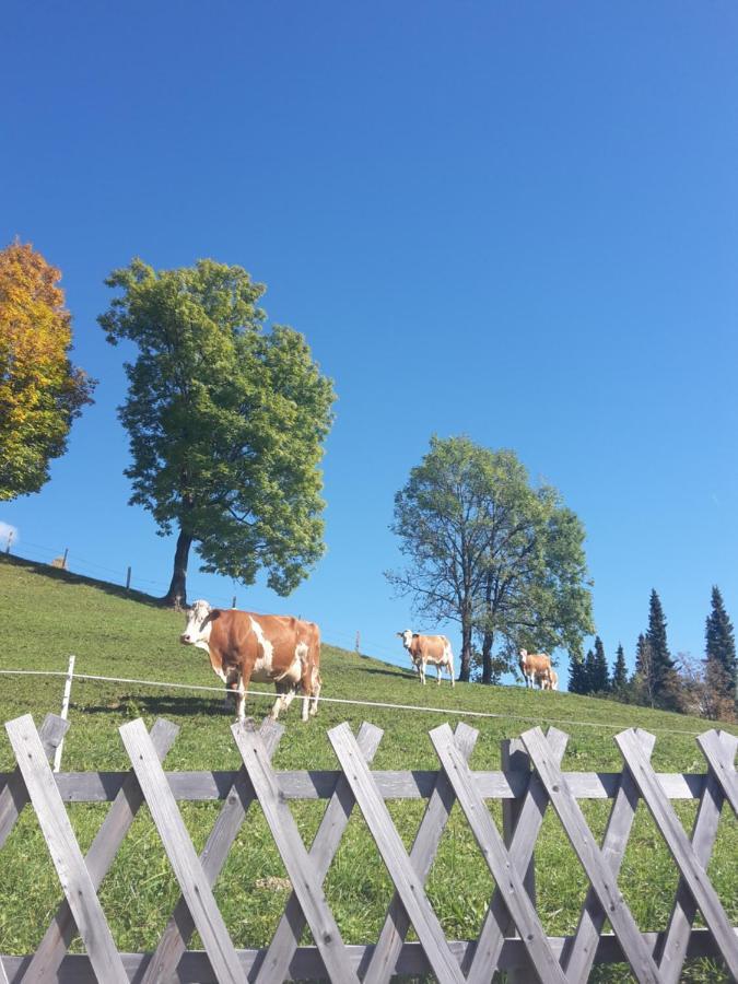 Bergpension-Ebental Brixen im Thale Buitenkant foto